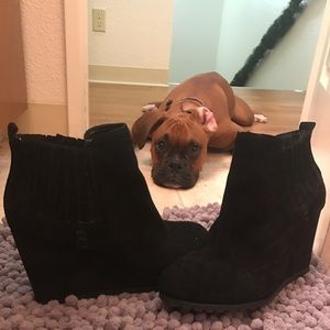 GIANNI BINK Black Booties Size 9.5